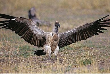 《孤山难越》现已登陆主机平台 在逆境中成长